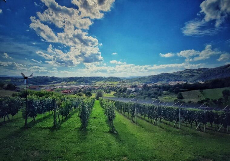 from-zagreb-samobor-plesivica-wine-road-private