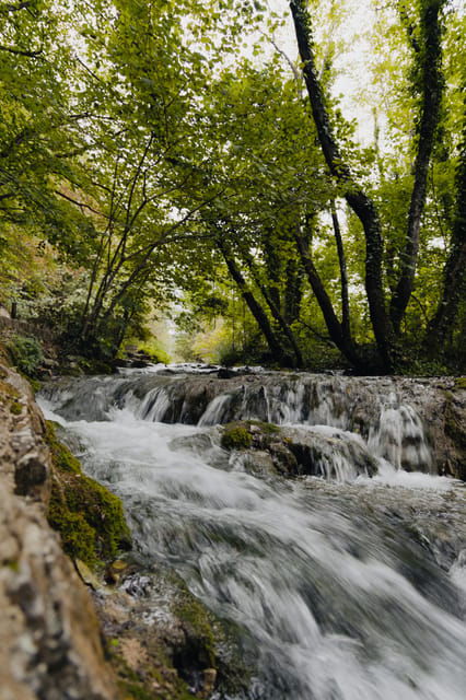 from-zagreb-to-plitvice-lakes-and-rastoke-private-day-tour