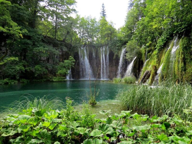 from-zagreb-to-zadar-plitvice-lakes-private-tour