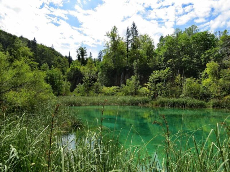 from-zagreb-to-zadar-plitvice-lakes-private-tour