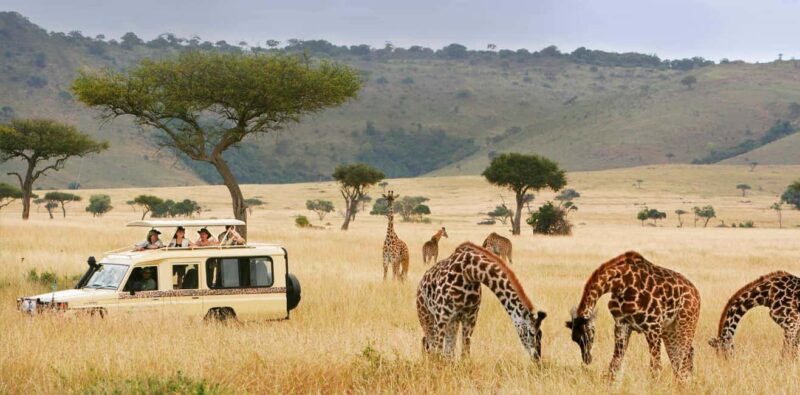 From Zanzibar: 2-Day Serengeti Safari with Flights - Key Points