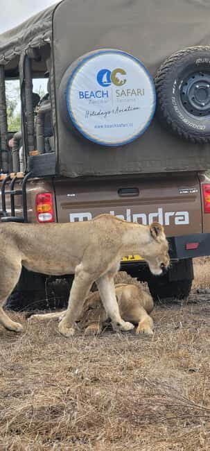 From Zanzibar: 2 Days 1 Night Selous GR Safari with Flights - Who Is This Safari Best For?