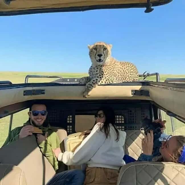 From Zanzibar: 3-Day Serengeti, Ngorongoro Private Safari - FAQ