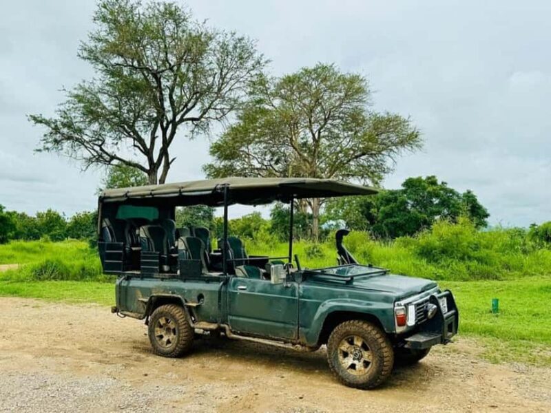 from Zanzibar: 3-Days Mikumi national park Safari with Train - In-Depth Look at the Itinerary