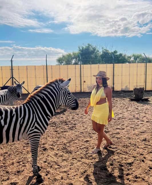 From Zanzibar Animal Feeding & Dar Es Salaam City Tour 2Days - Key Points