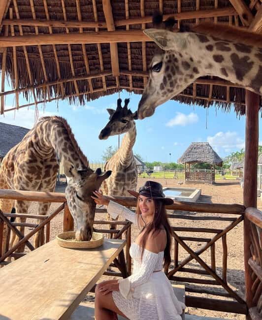 From Zanzibar Animal Feeding & Dar Es Salaam City Tour 2Days - The Itinerary Breakdown: What You’ll Experience