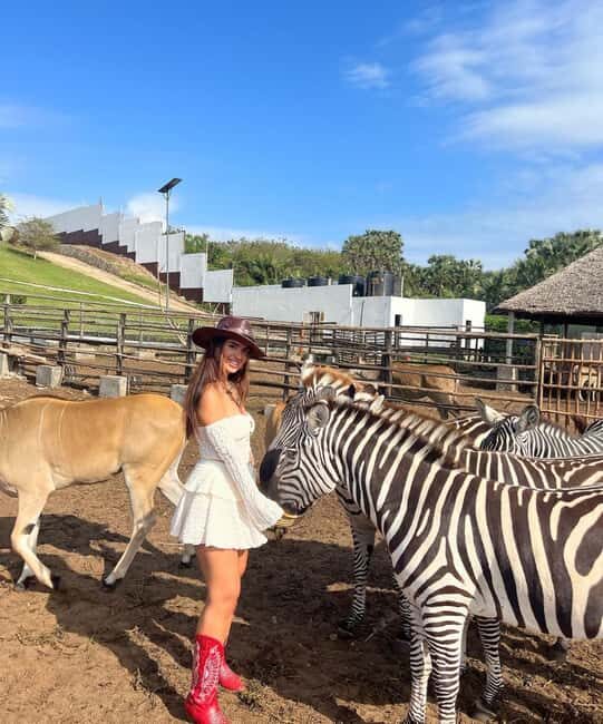 From Zanzibar Animal Feeding & Dar Es Salaam City Tour 2Days - Practical Tips for Travelers