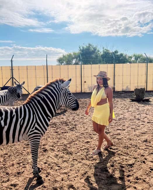 From Zanzibar Animal Feeding & Dar Es Salaam City Tour 2Days - FAQs