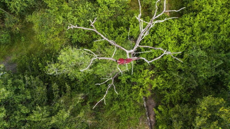 From Zanzibar: Best 5 Days Safari Selous G.R. with Flights - What’s Included and What’s Not