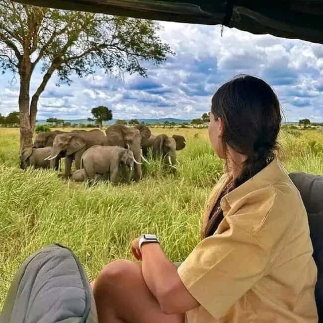 From Zanzibar - Mikumi Day Safari with flight - Who Should Consider This Tour?