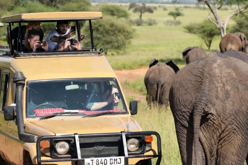 from Zanzibar: Mikumi national park 1-Day Safari by flight - A Complete Guide to the Zanzibar to Mikumi National Park 1-Day Safari by Flight