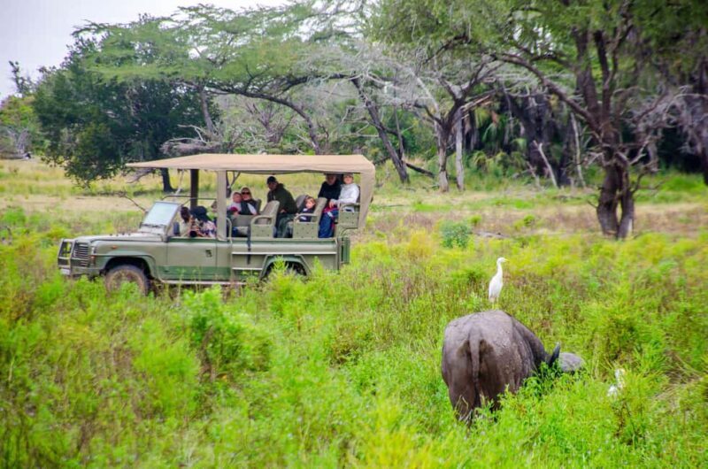From Zanzibar: Mikumi National Park Guided Safari - Pricing and Value
