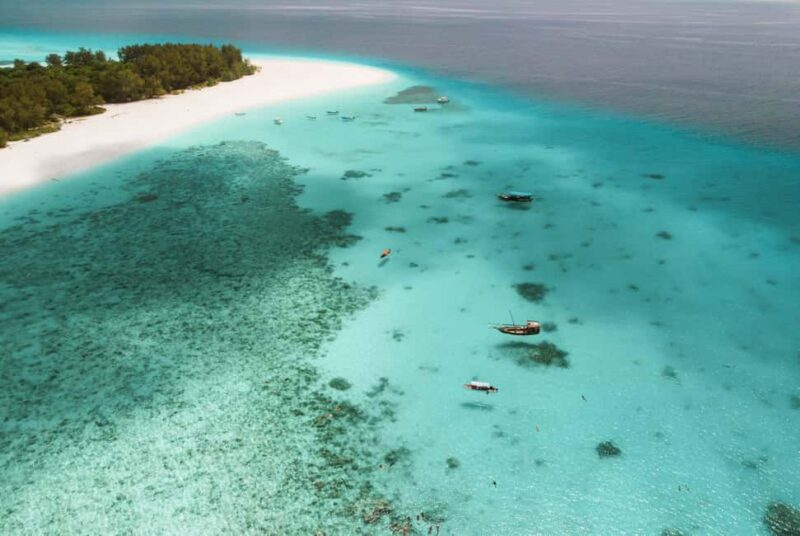 From Zanzibar: Mnemba Boat Tour with Snorkeling & Dolphine - Key Points