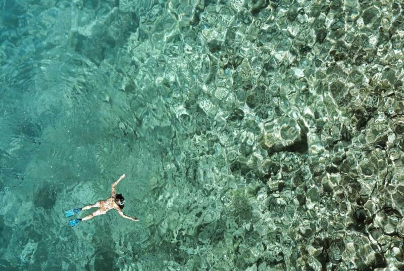 From Zanzibar: Mnemba Boat Tour with Snorkeling & Dolphine - Genuine Experiences from Travelers