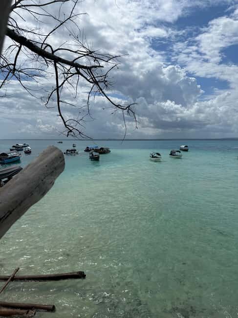 From Zanzibar: Prison Island With Nakupenda Tour - What to Expect from the Tour