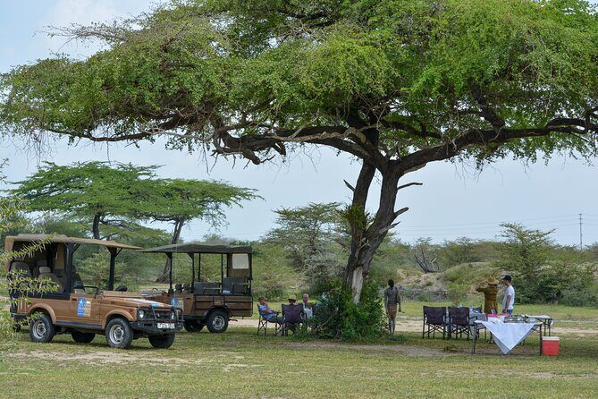 From Zanzibar: Selous Game Reserve Day Safari with Flights - Key Points
