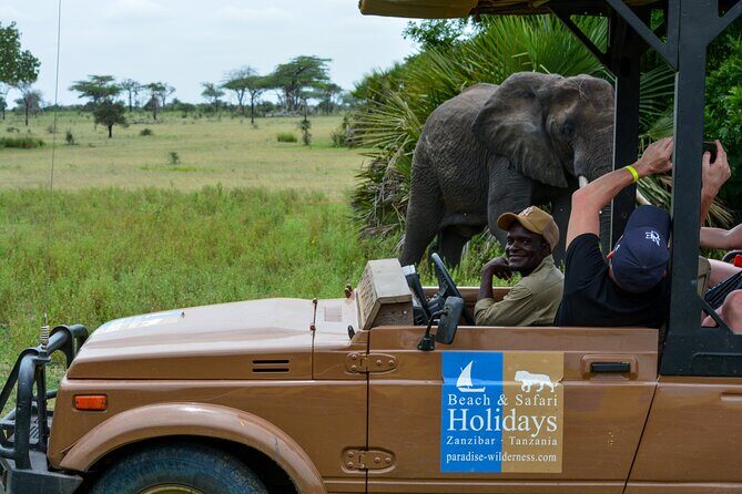 From Zanzibar: Selous Game Reserve Day Safari with Flights - Analyzing the Value