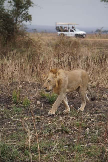 From Zanzibar:2 Nights& 1 day MIKUMI NATIONAL PARK (3 DAYS ) - Key Points