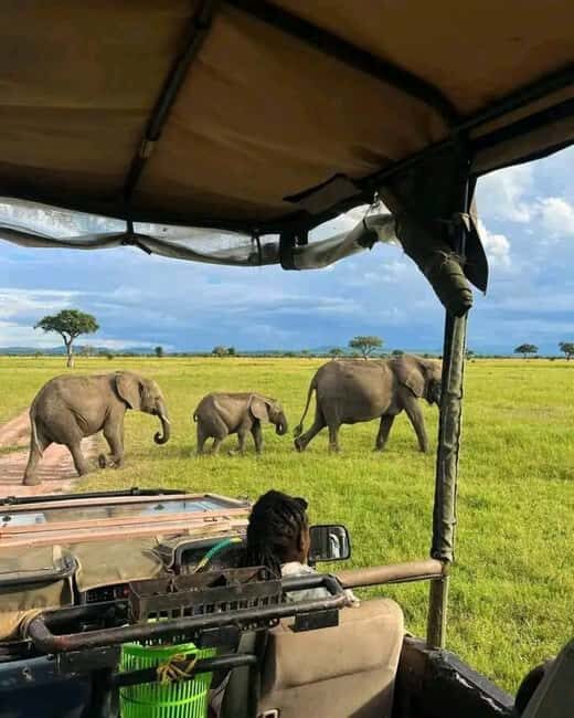 From Zanzibar:2 Nights& 1 day MIKUMI NATIONAL PARK (3 DAYS ) - What’s Included and What’s Not