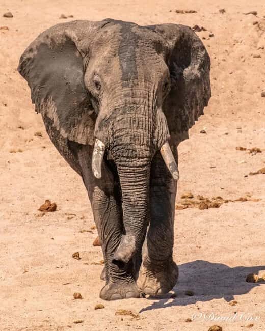 From Zanzibar:2 Nights& 1 day MIKUMI NATIONAL PARK (3 DAYS ) - Final Thoughts