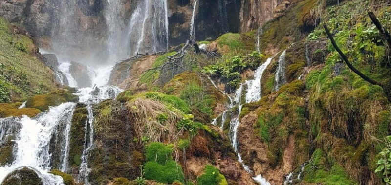 From Zlatibor/Uice: Mileeva Monastery & Waterfalls + lunch - Practical Details and What to Expect