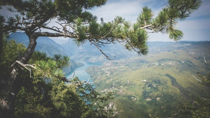 From Zlatibor/Uice: Tara National Park Adventure - Discovering Tara National Park: What the Tour Offers