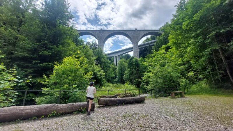 From Zug: Lorze Valley Forest Hike with Guide and Bus - Key Points