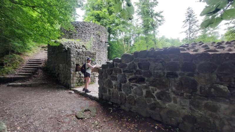 From Zug: Lorze Valley Forest Hike with Guide and Bus - Practical Details and Logistics