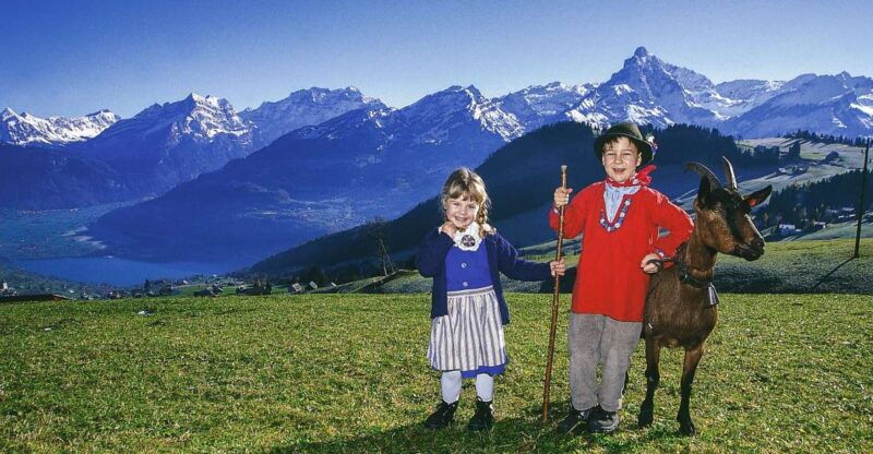 From Zurich: Bus Day Trip to Heidiland and Liechtenstein - Value & Pricing