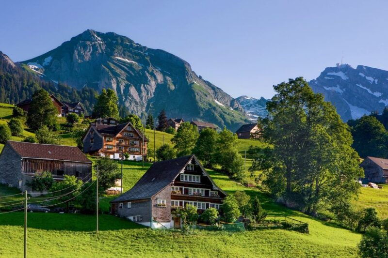 From Zurich: Bus Day Trip to Heidiland and Liechtenstein - Authentic Experiences & Insights from Reviews