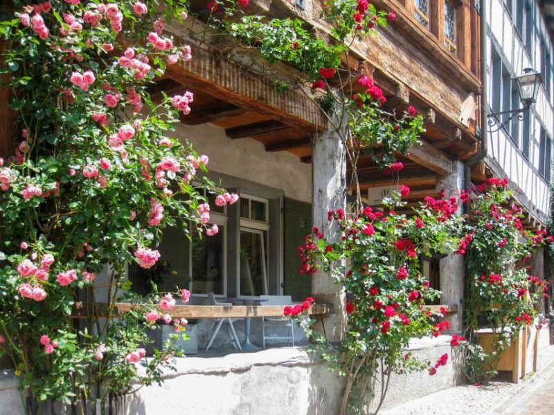 From Zurich: Bus Day Trip to Heidiland and Liechtenstein - FAQs