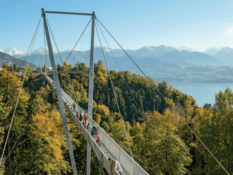 From Zurich: Crash Landing on You Private Day Trip - Who Is This Tour Best For?