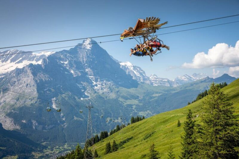 From Zurich: Grindelwald First Cable Car & Interlaken - Authentic Experiences and Reviewer Insights