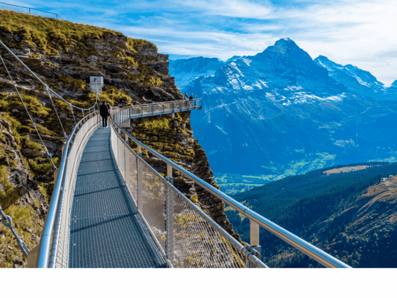 From Zurich: Grindelwald First Top of Adventure Private Trip - Key Points