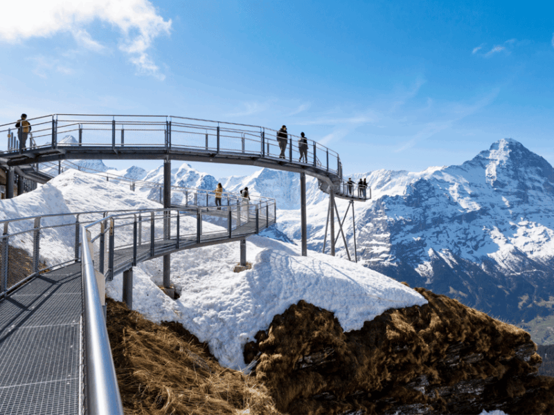 From Zurich: Grindelwald First Top of Adventure Private Trip - What’s Included and What You Should Consider