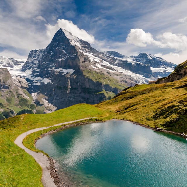 From Zurich: Interlaken and Grindelwald Private Day Tour - Practical Considerations