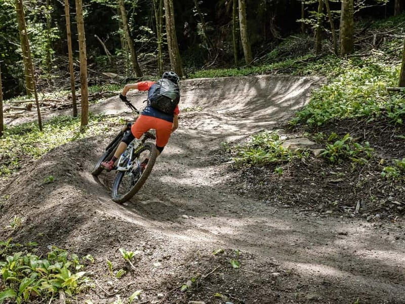 From Zurich: Mountain Magic on Two Wheels to Uetliberg - Final Thoughts on Value