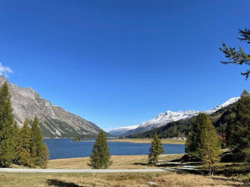 From Zurich: Private Day Trip to St. Moritz - How Is the Transportation & Group Experience?  