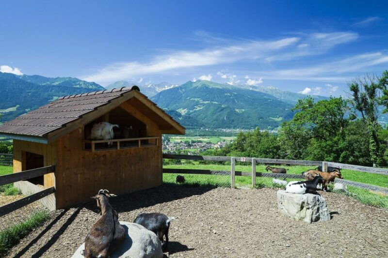 From Zurich: Private Trip to Liechtenstein and Heidiland - Final Thoughts