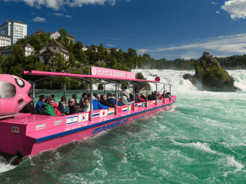 From Zurich: Rhine Falls & Stein am Rhein Private Day Trip - Exploring the Rhine Falls & Stein am Rhein Private Day Trip from Zurich