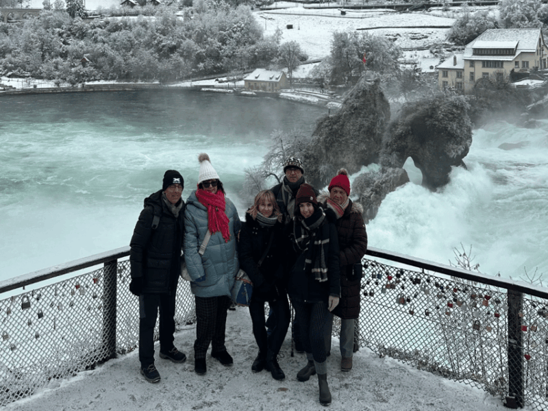 From Zurich: Rhine Falls & Stein am Rhein Private Day Trip - What Makes This Tour Stand Out?