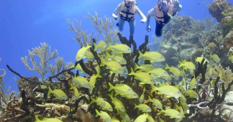 FromCancun: Puerto Morelos: Bike & Zip Line Tour - A Closer Look at the Itinerary and What You Can Expect