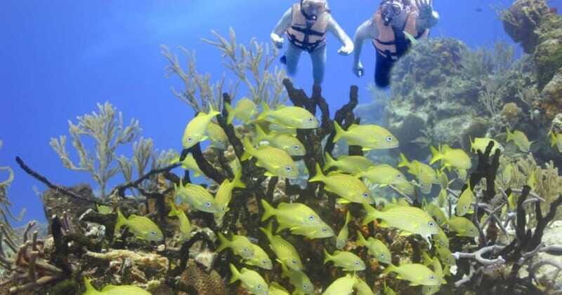 FromCancun: Puerto Morelos: Bike & Zip Line Tour - Final Thoughts