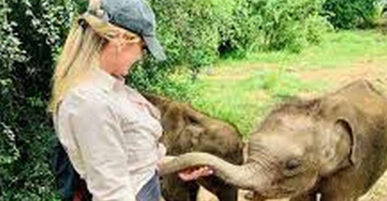 fromgalle-mirissa-transfer-to-ella-with-udawalawe-safari