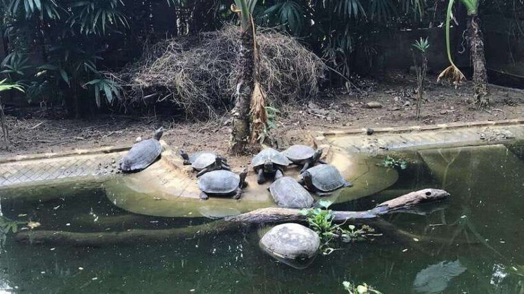 fromninh-binh-cuc-phuong-van-long-jeep-tours-small-groups