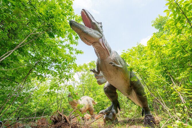 FromTsuruga Port Private Car Tour - Frequently Asked Questions