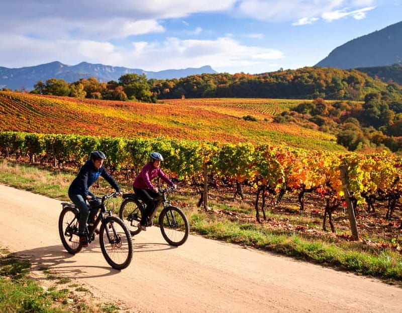 Fronsac vineyard mountain bike tour + wine tasting at La Closerie de Fronsac - An In-Depth Look at the Fronsac Vineyard Mountain Bike Tour