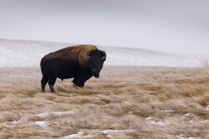Frozen Frontier: Badlands Winter Expedition - Breaking Down the Itinerary: What You Can Expect