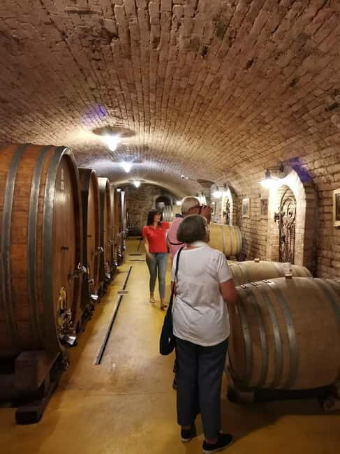 Fruka Gora Wine Tasting - Key Points