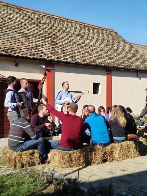 Fruka Gora Wine Tasting - An Authentic Taste of Serbia: The Itinerary in Detail